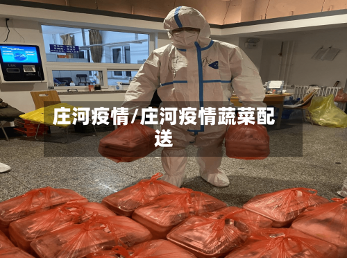 庄河疫情/庄河疫情蔬菜配送-第2张图片