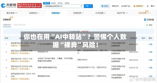 你也在用“AI中转站”？警惕个人数据“裸奔	”风险！-第3张图片