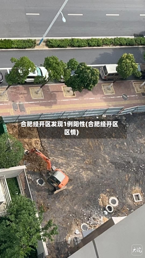 合肥经开区发现1例阳性(合肥经开区区情)