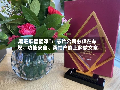 黑芝麻智能邓堃：芯片公司必须在车规、功能安全、柔性产能上多做文章-第2张图片