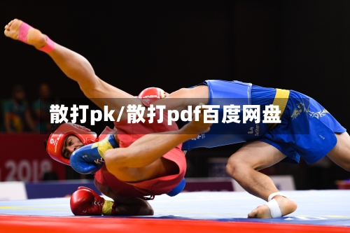 散打pk/散打pdf百度网盘
