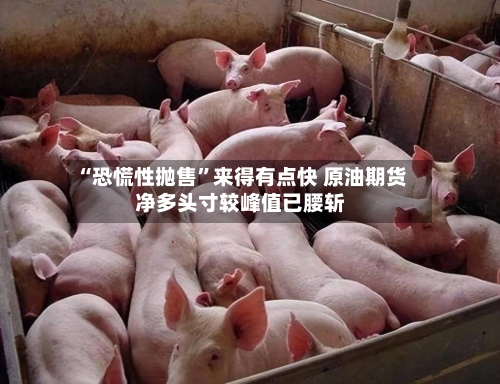 “恐慌性抛售”来得有点快 原油期货净多头寸较峰值已腰斩-第2张图片