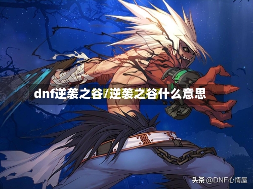 dnf逆袭之谷/逆袭之谷什么意思